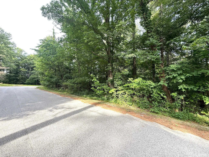 Listing Image 49