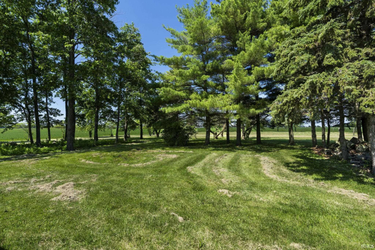 Listing Image 29
