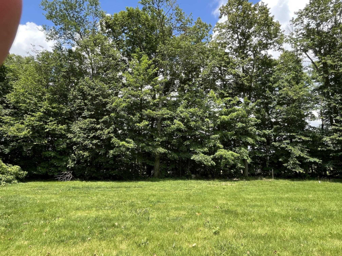 Listing Image 34