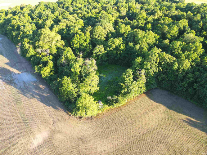 Listing Image 14