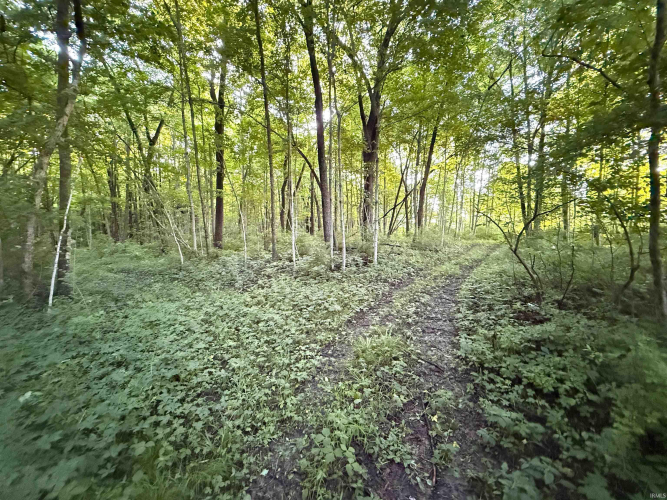 Listing Image 18