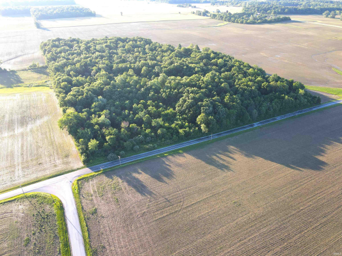 Listing Image 9