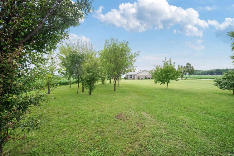 Listing Image 27