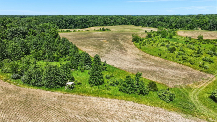 Listing Image 14