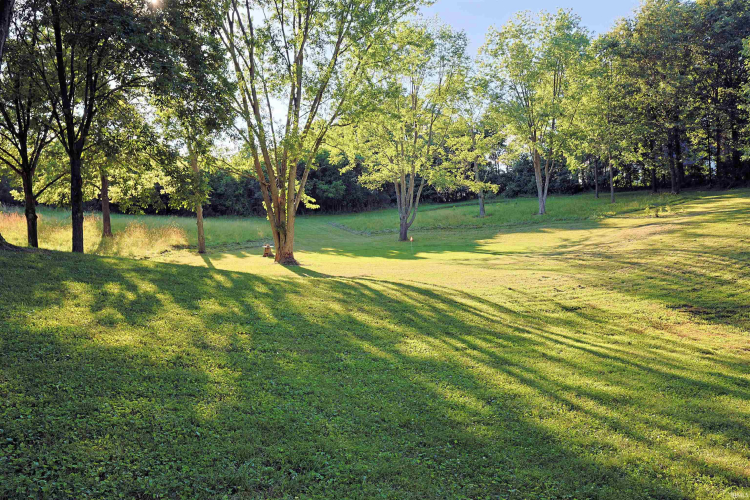 Listing Image 47