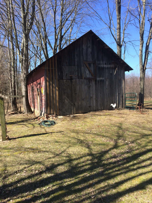 Listing Image 9