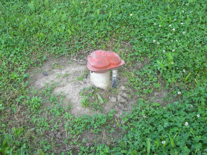 Listing Image 38