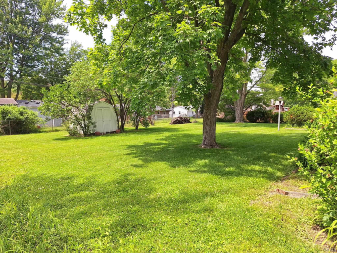 Listing Image 12