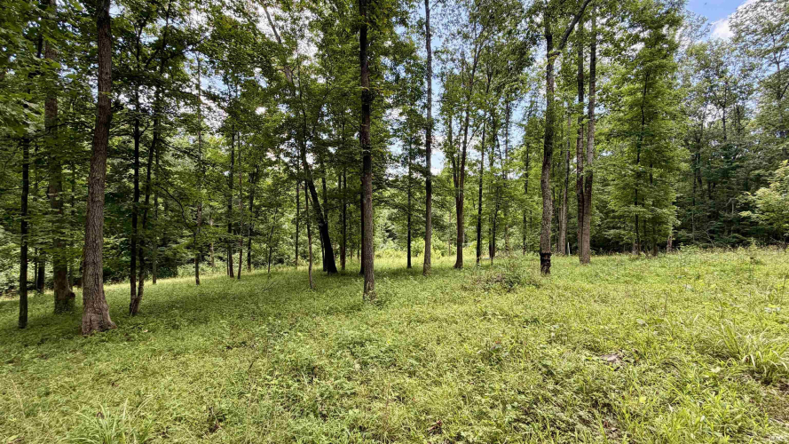 Listing Image 13