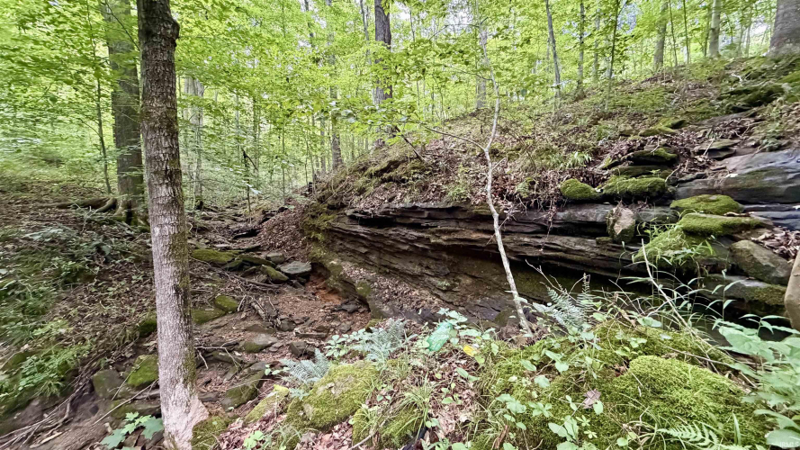 Listing Image 16