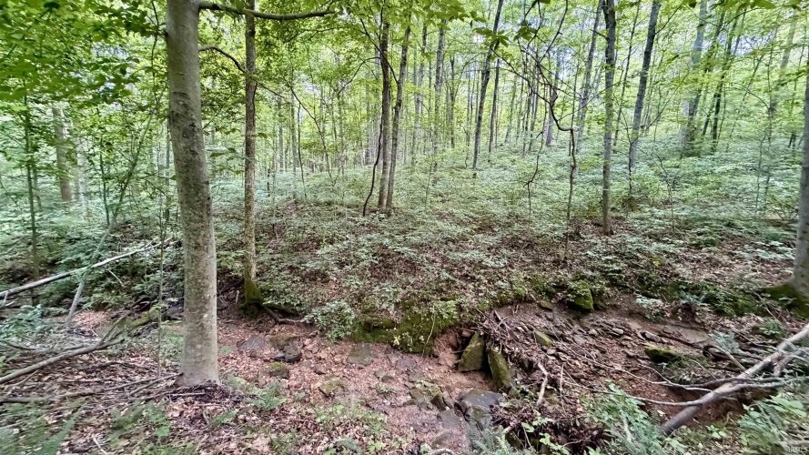 Listing Image 18
