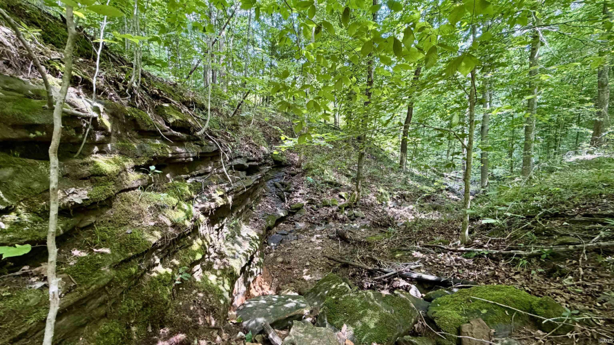 Listing Image 27