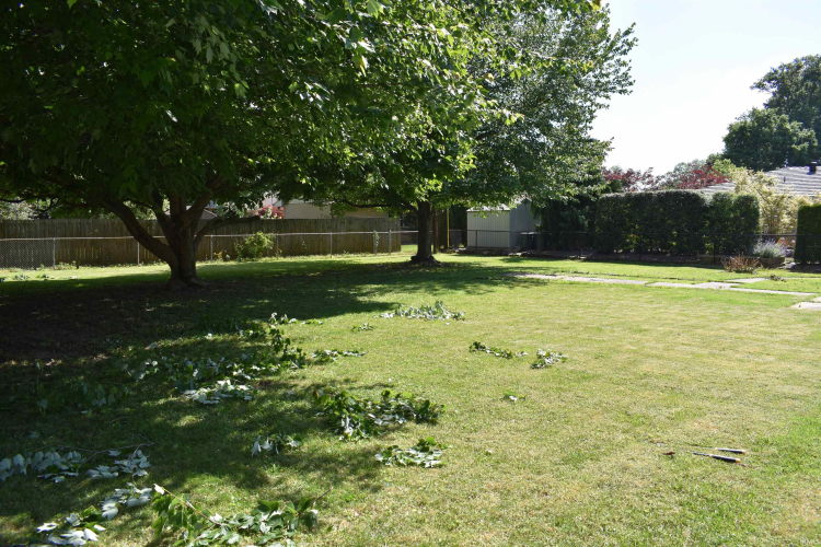 Listing Image 18