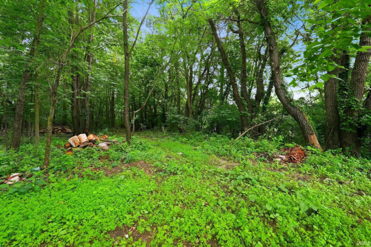 Listing Image 37