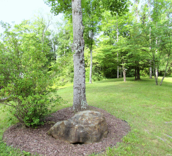 Listing Image 29