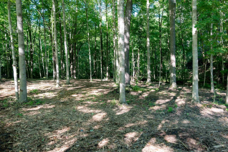 Listing Image 50
