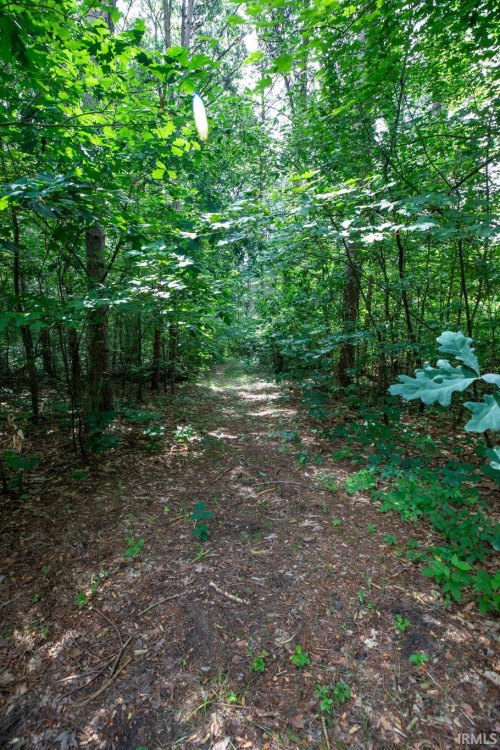 Listing Image 46