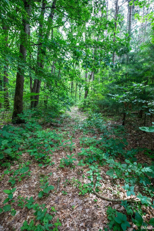 Listing Image 50