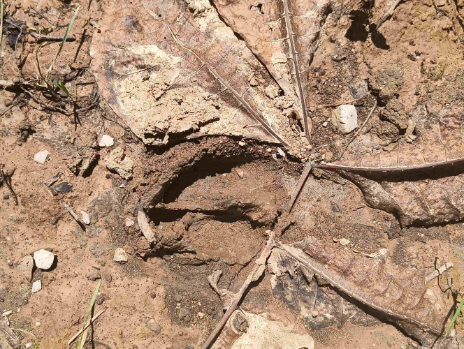 Listing Image 14