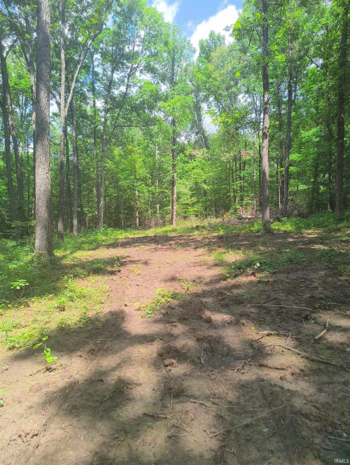 Listing Image 6