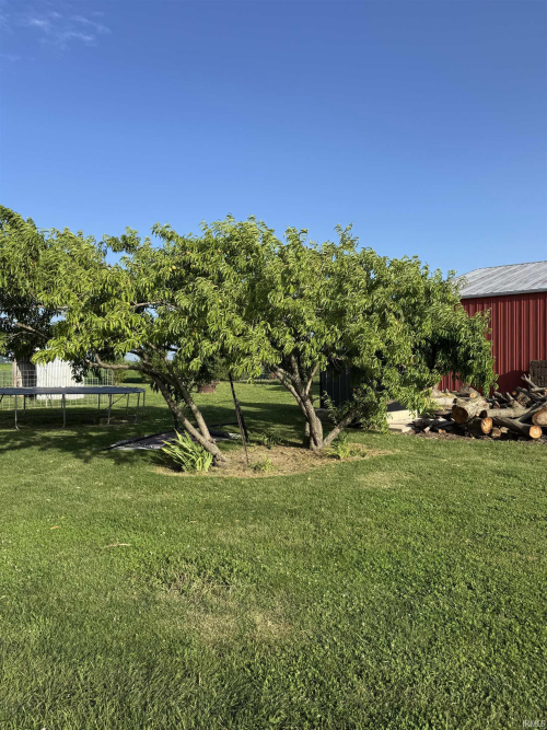 Listing Image 39
