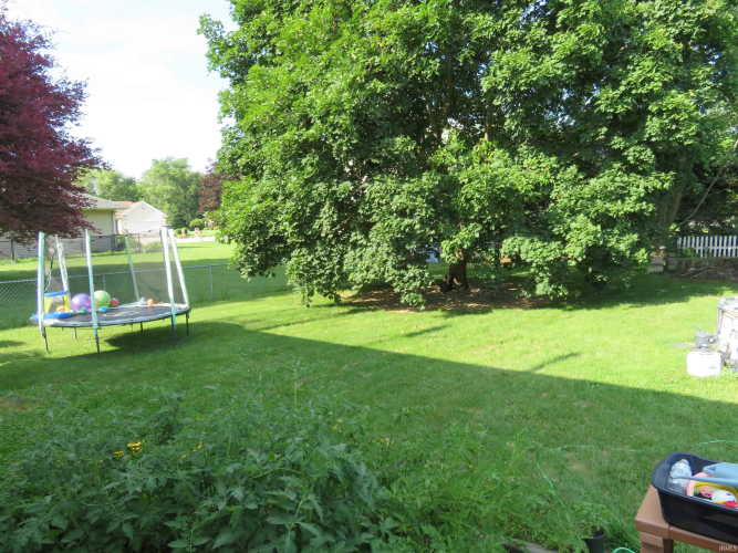 Listing Image 23