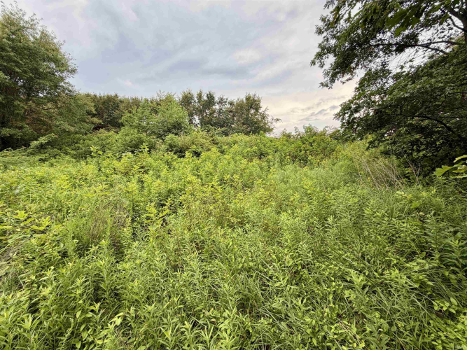 Listing Image 24
