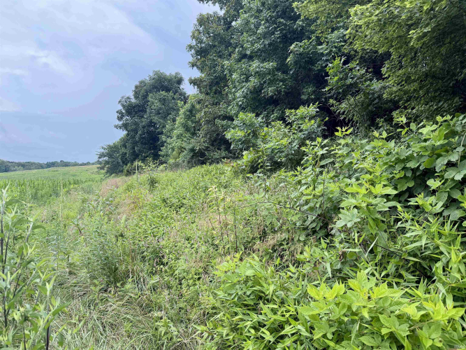 Listing Image 27