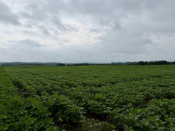 Listing Image 30