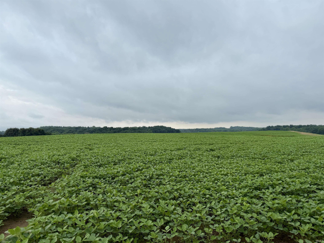 Listing Image 31