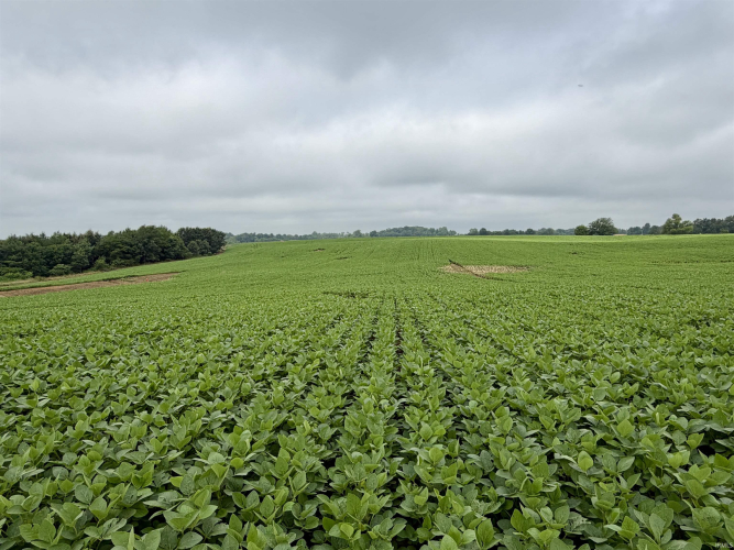 Listing Image 33