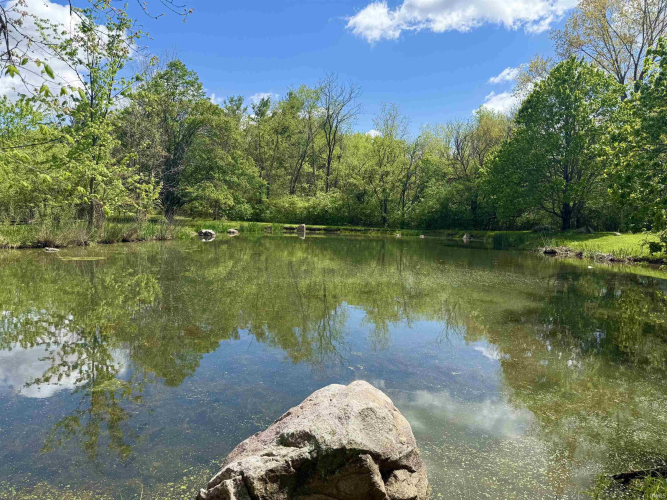 Listing Image 18
