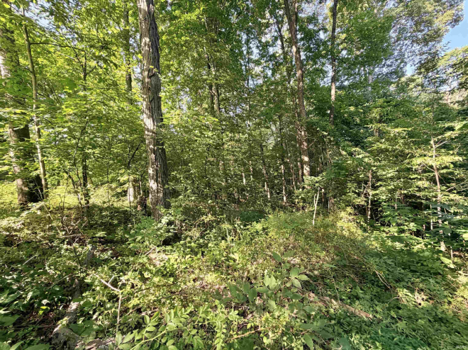 Listing Image 27