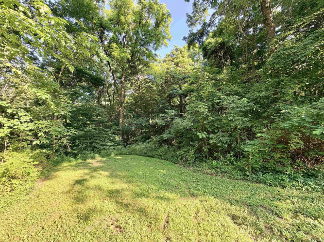 Listing Image 29
