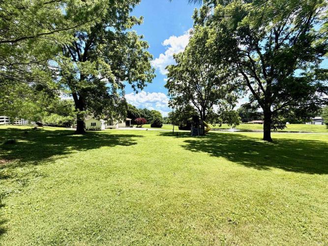 Listing Image 50