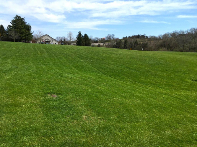 Listing Image 29