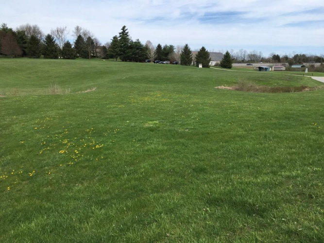 Listing Image 30