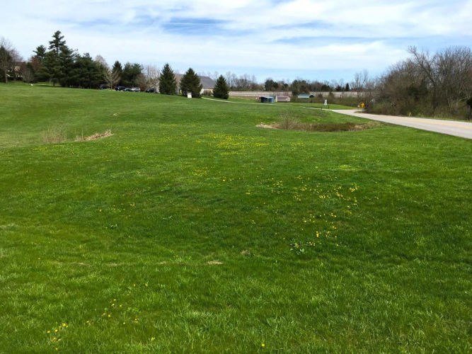 Listing Image 34