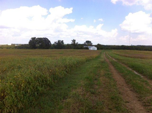 Listing Image 15