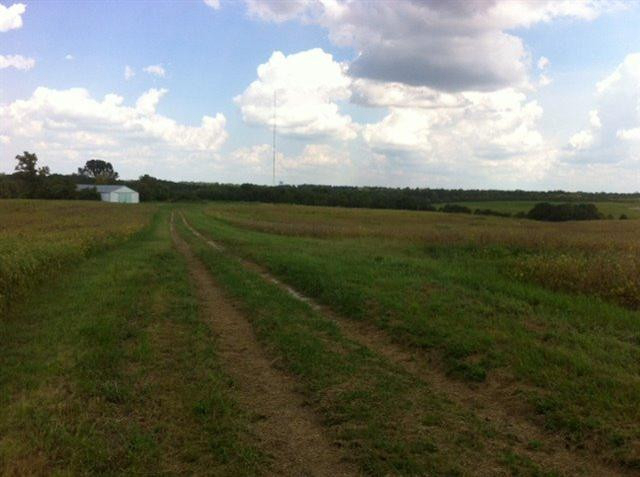 Listing Image 16