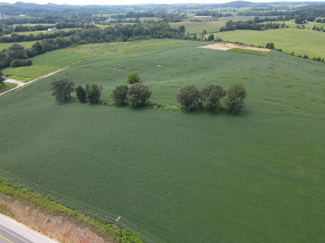 Listing Image 37