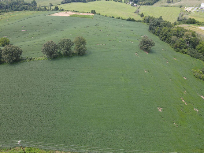 Listing Image 41
