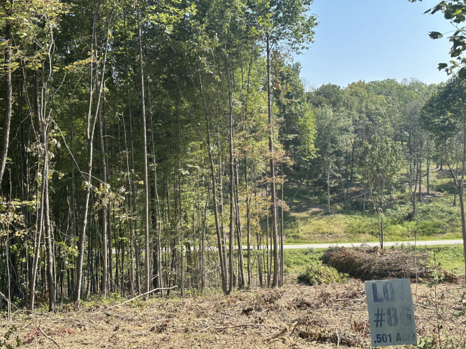Listing Image 4