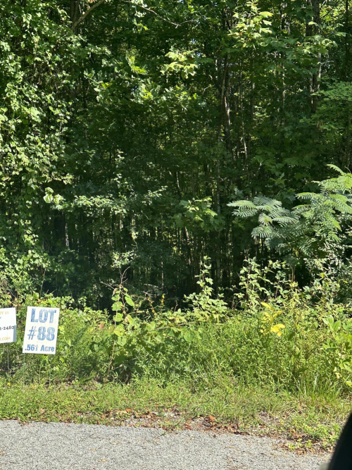 Listing Image 8