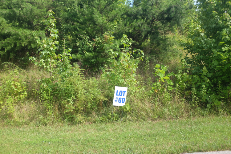 Listing Image 17