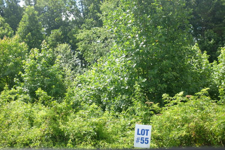 Listing Image 18