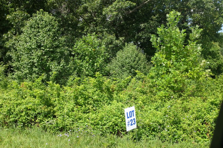 Listing Image 28