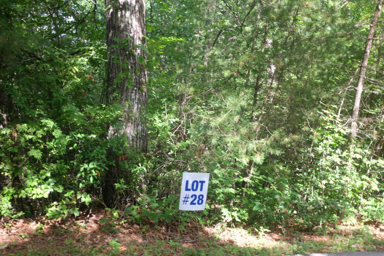 Listing Image 31