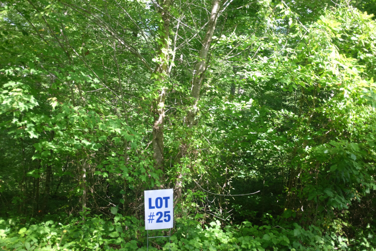 Listing Image 34