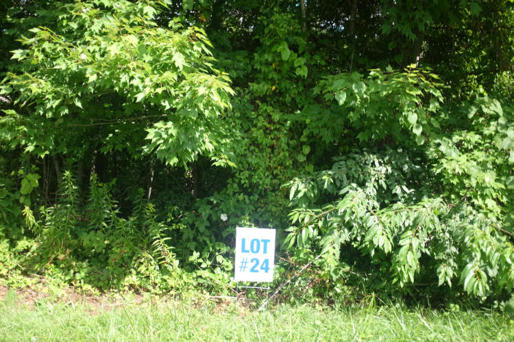 Listing Image 35
